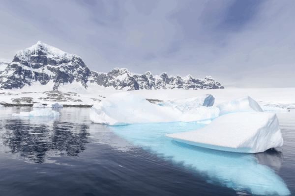 Antarcticaโs Ice Crisis: Wildlife & Climate at Risk ๐โ๏ธ Antarcticaโs Ice Crisis: Wildlife & Climate at Risk ๐โ๏ธ