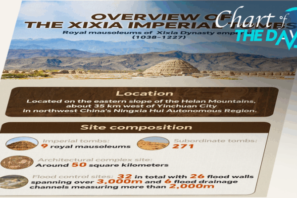 Xixia Tombs Join UNESCO List: China’s Heritage Count Hits 60 🌏✨