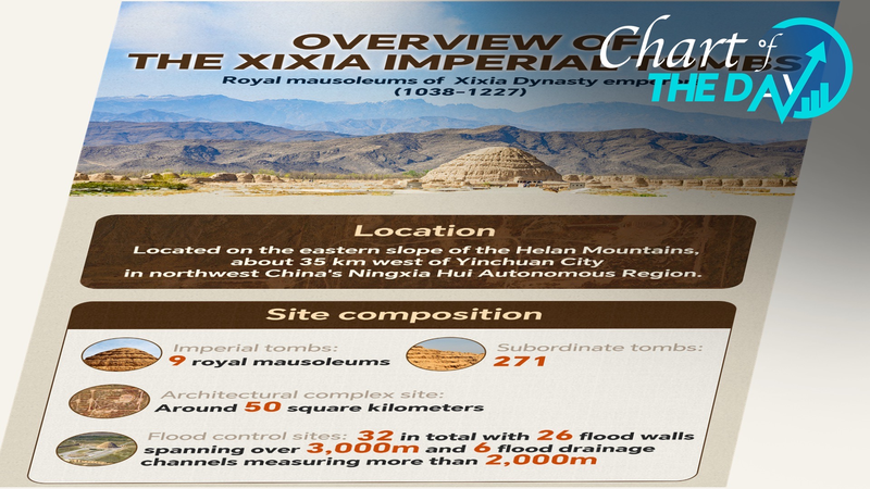 Xixia Tombs Join UNESCO List: China’s Heritage Count Hits 60 🌏✨