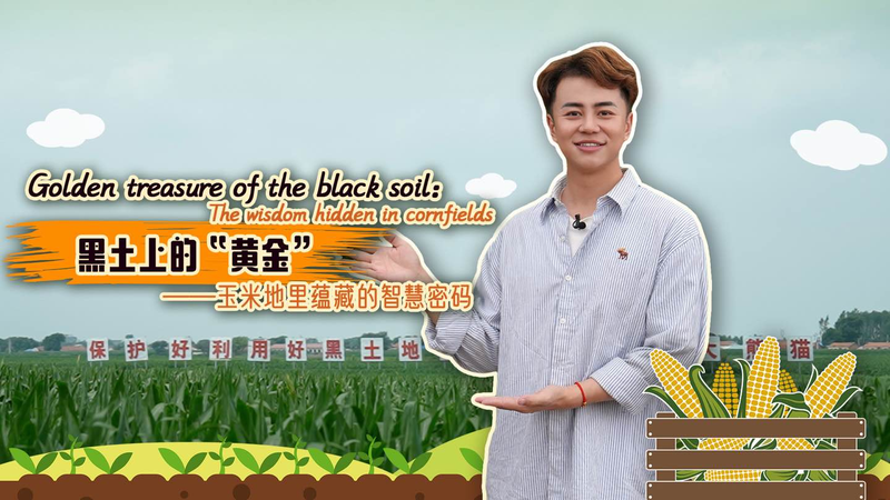 ๐ฝ Tech Meets Tradition: How Chinaโs Cornfields Are Shaping the Future ๐ฑ ๐ฝ Tech Meets Tradition: How Chinaโs Cornfields Are Shaping the Future ๐ฑ video poster