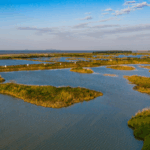 HDZKJQN8L62GA4Y0BTCJ - 🌍NewspaperAmigo – Your Global News Buddy 🗞️ Wetland Oasis Fuels Epic Bird Migrations 🦆🌏