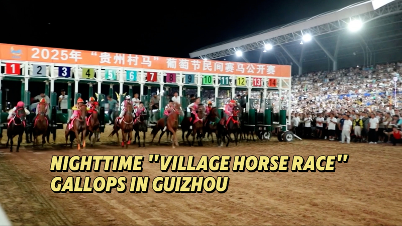 Nighttime Horse Races Light Up Guizhou’s Cultural Scene 🌟🐎 Nighttime Horse Races Light Up Guizhou’s Cultural Scene 🌟🐎 video poster