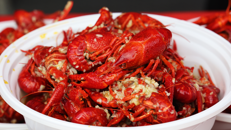 Wuhu’s Crayfish Festival Sizzles with Flavor & Nightlife Vibes 🦞✨ Wuhu’s Crayfish Festival Sizzles with Flavor & Nightlife Vibes 🦞✨