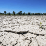 I51I18S243O5RJWZOOPX - 🌍NewspaperAmigo – Your Global News Buddy 🗞️ 🌍🔥 World Enters 'New Drought Era' as Risks Escalate, Warns UN Expert