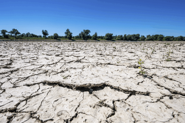 🌍🔥 World Enters ‘New Drought Era’ as Risks Escalate, Warns UN Expert 🌍🔥 World Enters 'New Drought Era' as Risks Escalate, Warns UN Expert