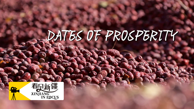 Xinjiang's Sweet Success: How Ruoqiang Dates Fuel Prosperity 🌱💰 video poster