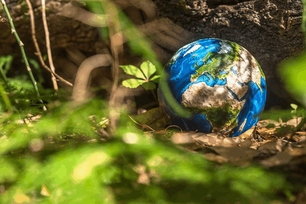 🌍 China & EU Unite for Climate Action: 7 Key Pledges to Watch 🌍 China & EU Unite for Climate Action: 7 Key Pledges to Watch