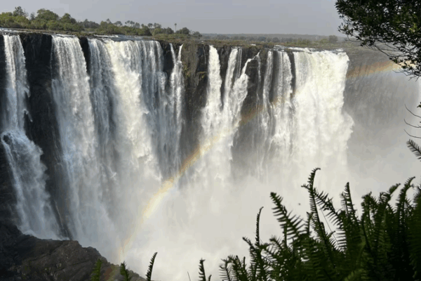 IOULR0Z4KOX2BZOEGU22 - ๐NewspaperAmigo โ Your Global News Buddy ๐๏ธ ๐ฑ China & Africa Unite to Save Wetlands at COP15
