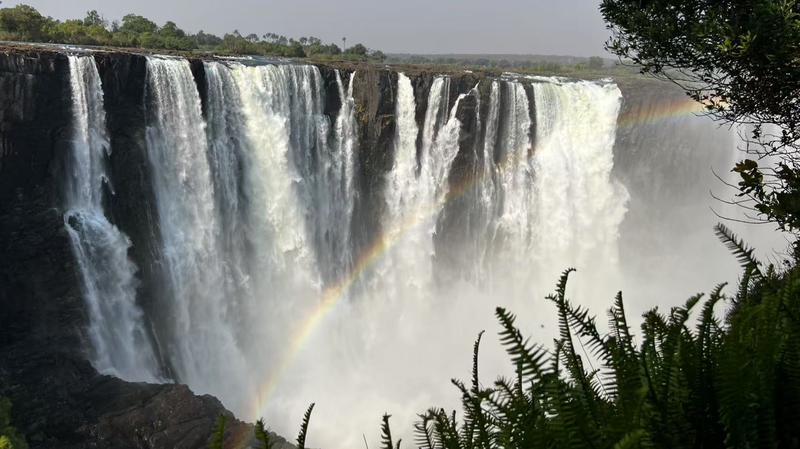 🌱 China & Africa Unite to Save Wetlands at COP15