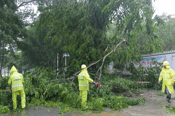 Typhoon Wipha Nears China’s Coast 🌪️ Southern Provinces Brace for Impact Typhoon Wipha Nears China’s Coast 🌪️ Southern Provinces Brace for Impact video poster