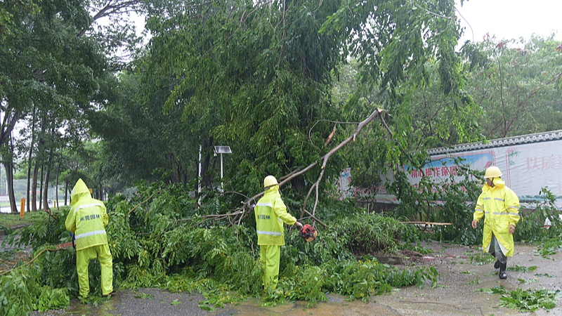 Typhoon Wipha Nears China’s Coast 🌪️ Southern Provinces Brace for Impact video poster