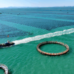 KDHDYUBTTBR5AS346ADA - 🌍NewspaperAmigo – Your Global News Buddy 🗞️ Xi Pushes Unified Market & Marine Growth 🌊📈