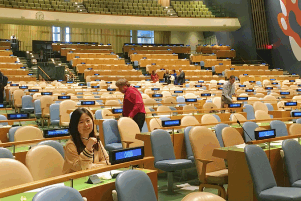 From UN Intern to Global Citizen: A Decade of Peace & Diversity 🌍✌️ From UN Intern to Global Citizen: A Decade of Peace & Diversity 🌍✌️