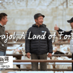 From Bite to Business: How Xinjiang’s Lamb Sparked a Livestream Empire 🐑💻 video poster