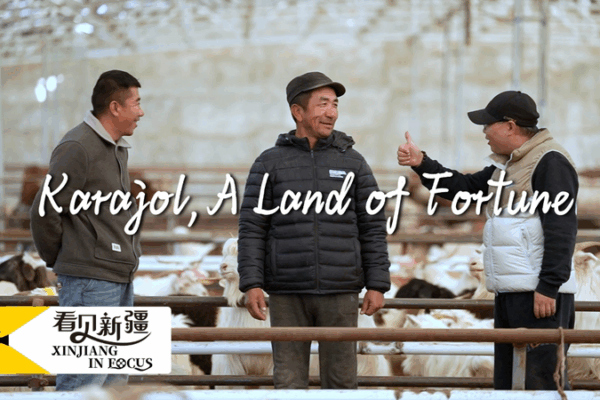 From Bite to Business: How Xinjiang’s Lamb Sparked a Livestream Empire 🐑💻 From Bite to Business: How Xinjiang’s Lamb Sparked a Livestream Empire 🐑💻 video poster