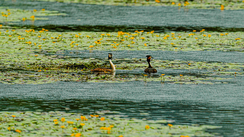 China Tops Global List with 22 Wetland Cities 🌿🏙️ China Tops Global List with 22 Wetland Cities 🌿🏙️