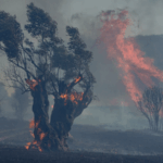 M1H3H9BW90NLF2UAD1VK - 🌍NewspaperAmigo – Your Global News Buddy 🗞️ Southern Europe Engulfed by Wildfires as Heatwave Rages 🔥🌡️