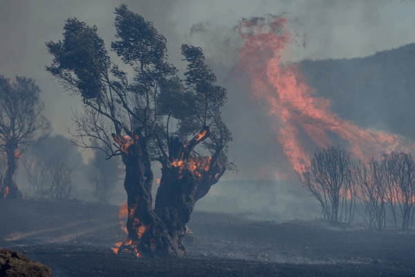 Southern Europe Engulfed by Wildfires as Heatwave Rages ๐ฅ๐ก๏ธ Southern Europe Engulfed by Wildfires as Heatwave Rages ๐ฅ๐ก๏ธ