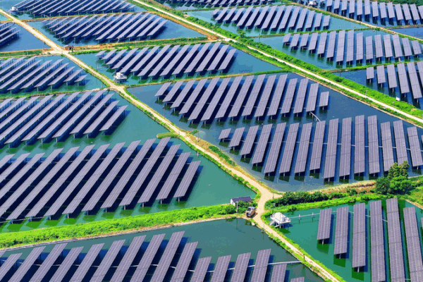 MGI0428848JXZC56UND3 - ๐NewspaperAmigo โ Your Global News Buddy ๐๏ธ China & EU Unite for Climate Action ๐ฑ๐ก