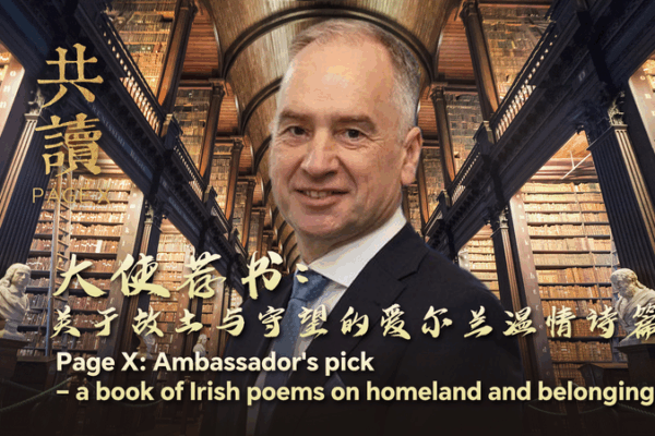 Irish Novel Captures Heart of Rural Life 🌾📖 Irish Novel Captures Heart of Rural Life 🌾📖 video poster