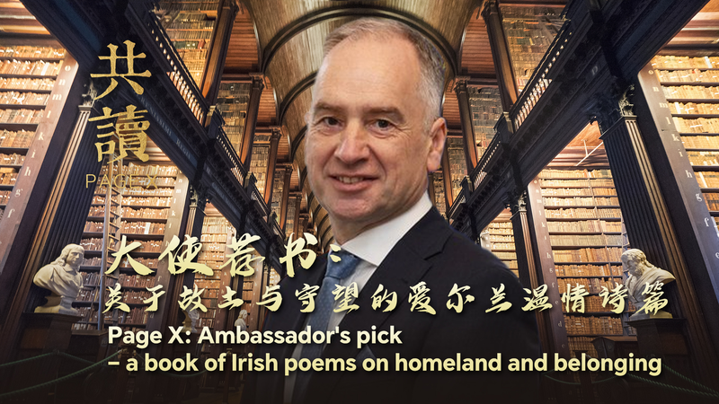 O0X9YX6UE96TCN1N6S3X - 🌍NewspaperAmigo – Your Global News Buddy 🗞️ Irish Novel Captures Heart of Rural Life 🌾📖 video poster