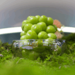 P1STP7IZ22I9FFVIU71F - 🌍NewspaperAmigo – Your Global News Buddy 🗞️ 🌱 Tech Meets Soil: How China’s AI is Revolutionizing Global Farming 🌍