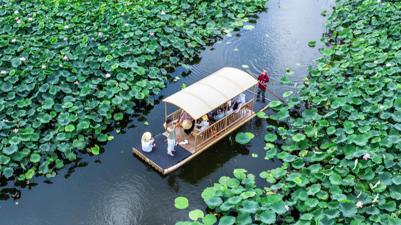 🌺 Taizhou’s Lotus Raft Rides Become Summer Sensation! 🌺 Taizhou's Lotus Raft Rides Become Summer Sensation!