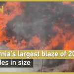 P7549GPJ1T0H2FCB9QTC - 🌍NewspaperAmigo – Your Global News Buddy 🗞️ California's 2025 Mega-Fire Rages Amid Heatwave 🔥🌡️ video poster