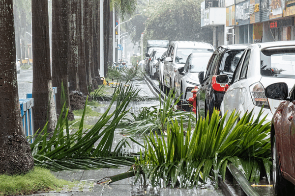 Typhoon Wipha Batters Southern China: Live Updates ๐ช๏ธ Typhoon Wipha Batters Southern China: Live Updates ๐ช๏ธ video poster