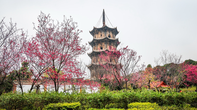 Silk Roads to Modern Codes: How Ancient Dialogue Shapes Today 🌍✨