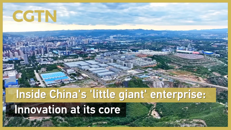 Inside China’s ‘Little Giant’ Enterprise: Innovation Sparks Global Buzz 🚀🇨🇳 Inside China’s ‘Little Giant’ Enterprise: Innovation Sparks Global Buzz 🚀🇨🇳 video poster