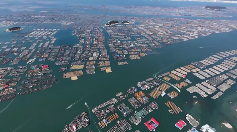 China Mobilizes as Typhoon Danas Nears Coast 🌪️🚨