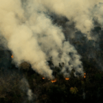 TYT3MQ6JHR469RGVZXUR - 🌍NewspaperAmigo – Your Global News Buddy 🗞️ Amazon Alert: New Bill Threatens Accelerated Deforestation 🌳🔥 video poster