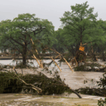 UM10RJFFHPY94UWAD9RJ - 🌍NewspaperAmigo – Your Global News Buddy 🗞️ Texas Floods: Rescue Teams Race Against Time in Kerrville 🌊🚨 video poster