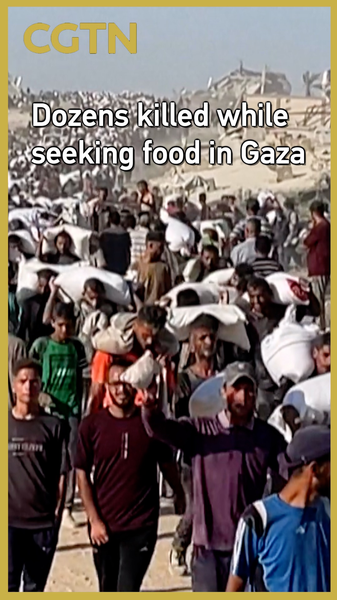 Tragedy in Gaza: Dozens Killed Amid Aid Chaos ποΈ Tragedy in Gaza: Dozens Killed Amid Aid Chaos ποΈ video poster