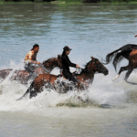 V56Y46GE92ERFT5VDPJO - 🌍NewspaperAmigo – Your Global News Buddy 🗞️ Gallop into Culture: Xinjiang’s Heavenly Horses Festival 2025 🐎✨