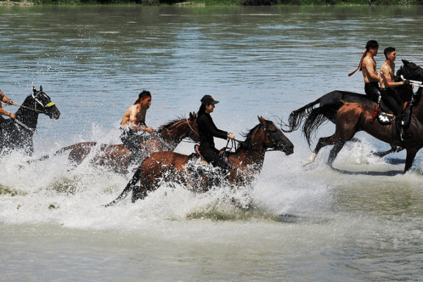 Gallop into Culture: Xinjiang’s Heavenly Horses Festival 2025 🐎✨ Gallop into Culture: Xinjiang’s Heavenly Horses Festival 2025 🐎✨