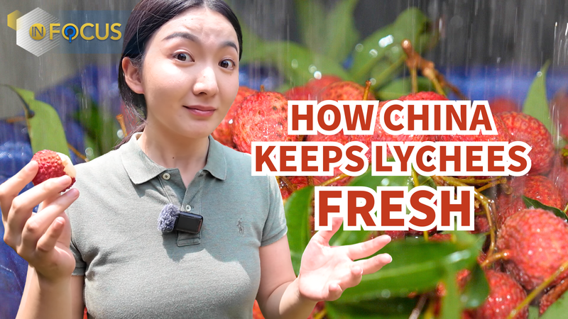 VFWP6H9K34C84G0GRQKQ - 🌍NewspaperAmigo – Your Global News Buddy 🗞️ China's Lychee Magic: From Farm to Global Shelves 🍒✈️ video poster