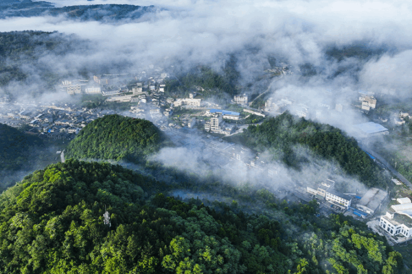 Xi Jinping’s Eco Vision Goes Global π±π Xi Jinping's Eco Vision Goes Global π±π