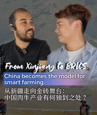 ๐ฑ From Xinjiang to BRICS: Chinaโs Digital Farming Revolution Goes Global! ๐ฑ From Xinjiang to BRICS: Chinaโs Digital Farming Revolution Goes Global! video poster