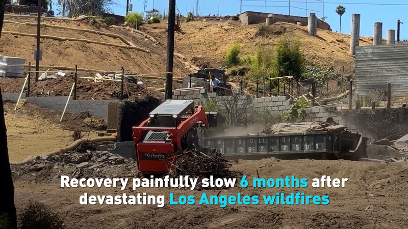 LA Wildfire Recovery Crawls: Only 6 Homes Rebuilt 6 Months Later 🌪️🏠 video poster