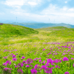 🌿 Sino-Swiss Eco-Tourism Ties Blossom After 75 Years 🌍