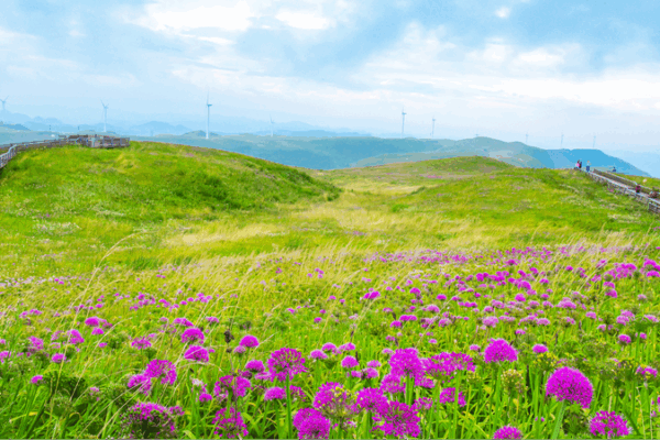 🌿 Sino-Swiss Eco-Tourism Ties Blossom After 75 Years 🌍 🌿 Sino-Swiss Eco-Tourism Ties Blossom After 75 Years 🌍