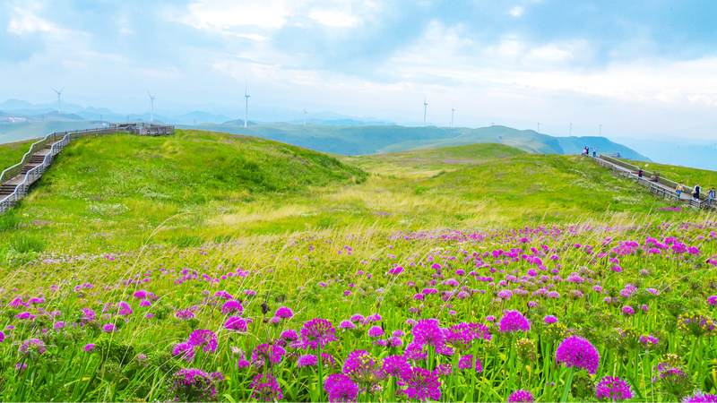 🌿 Sino-Swiss Eco-Tourism Ties Blossom After 75 Years 🌍