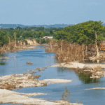 X22W65BCQU3R2DXV2ESZ - 🌍NewspaperAmigo – Your Global News Buddy 🗞️ 2025 U.S. Floods: Climate Wake-Up Call 🌊⚠️