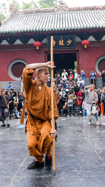 Shaolin Staff Mastery: Where Discipline Meets Dynamic Art 🎋✨ video poster