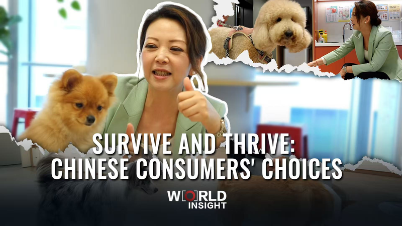 How Chinese Shoppers Are Redefining Retail in the Livestream Era 🛒📱 How Chinese Shoppers Are Redefining Retail in the Livestream Era 🛒📱 video poster