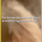 Y4JWFLZFIFX2UU343F9P - 🌍NewspaperAmigo – Your Global News Buddy 🗞️ 🔥 Tornado of Flames Hits Türkiye as Wildfires Spread 🌍 #ExtremeWeather video poster