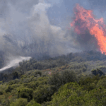 Y8M8TOZBBFEKSXC2GBUJ - 🌍NewspaperAmigo – Your Global News Buddy 🗞️ Europe Sizzles: Hottest June Ever Fuels Climate Concerns 🌡️🔥
