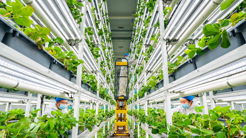 ๐ฑ Chinaโs Agri-Tech Revolution: Feeding the World & Fueling Global Growth ๐ฑ Chinaโs Agri-Tech Revolution: Feeding the World & Fueling Global Growth